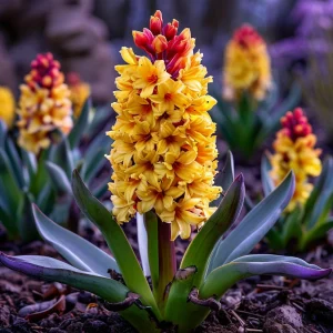 Гиацинт Миднайт Мистери купить по цене от 2099р. в интернет-магазине «Посадика» с доставкой почтой в в Краснозаводске и по всей России – [изображение №1].